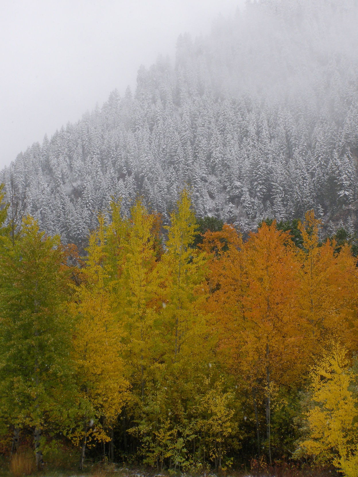Sun Valley snow